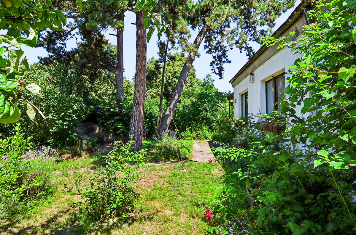 Vorgarten - Stadtnah wohnen und individuell gestalten – Sanierungsbedürftiges Einfamilienhaus in Riddagshausen